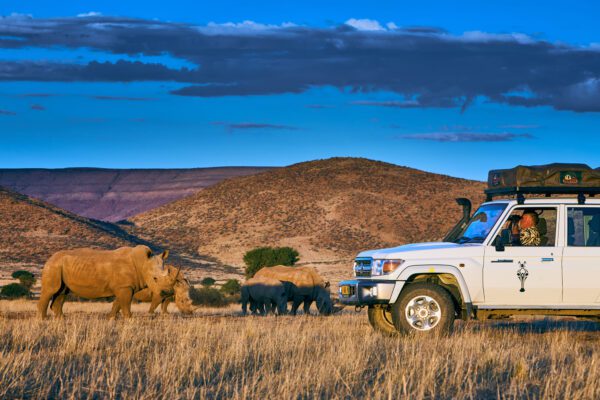 Tour mit Nashörnern